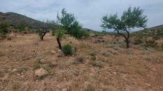 Finca rústica a La Pinilla - Las Palas