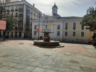 Local Comercial en Plaza Santa Ana