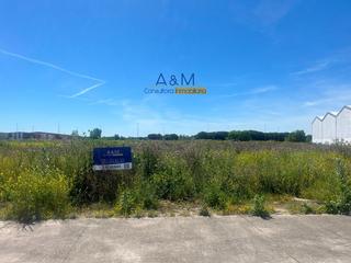 Propriété  Roble. Venta de parcela  en  el brizo