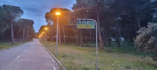 Finca rústica a Montico. Parcelas el montico  tordesillas