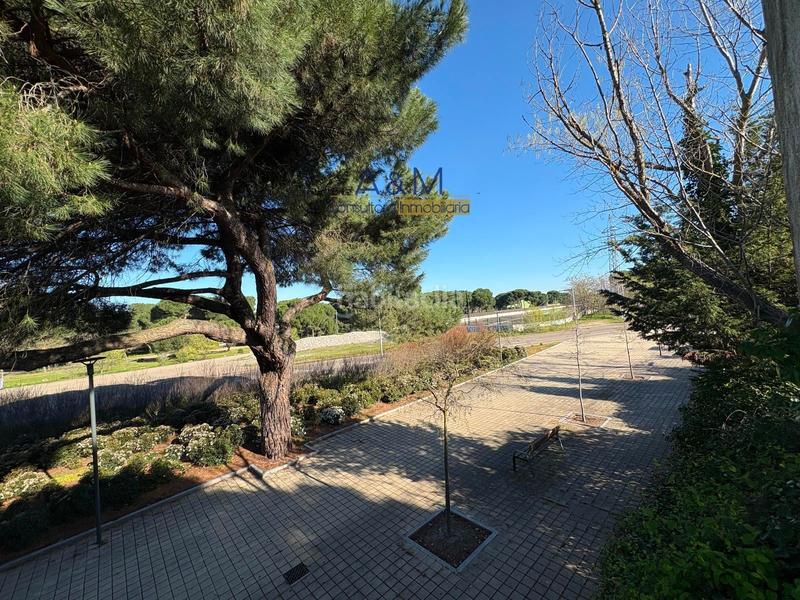 Foto 77c3b0d3-7c03-438b-805d-41bca5d2b3fe. Casa a Cuatro de Marzo Valladolid