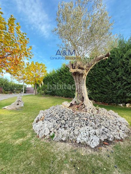 Foto f9a726d8-5f40-4d63-8fac-be1e74b5c113. Chalet con riscaldamento piscina in Parrilla (La)