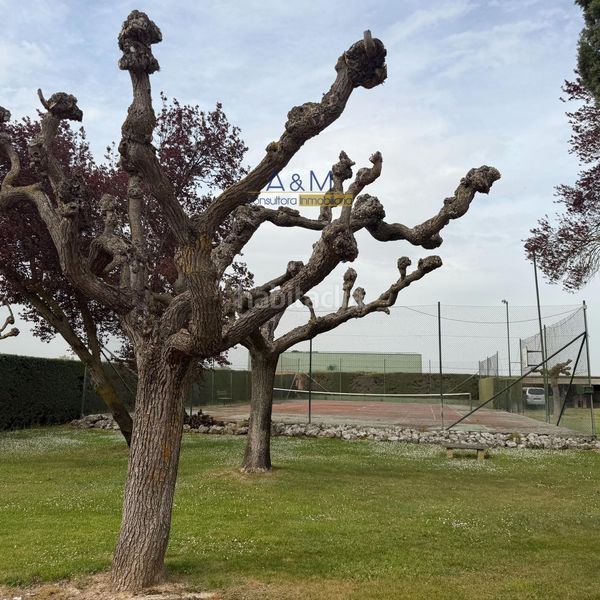Foto 709ff3b3-ee08-48d9-8943-56ce599fc953. Xalet amb calefacció aparcament piscina a Laguna de Duero