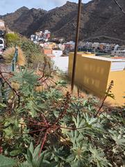 Terreno residencial  Calle venecia. Se vende terreno urbano en maria jimenez