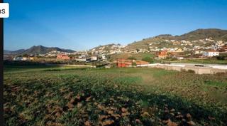 Rural plot in Las Mercedes. Se vende terreno 3000 m2 jardina