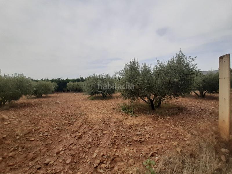 Foto 360bd636-73b0-4c66-b362-aa55ddc05308. Finca rústica a Arnedo
