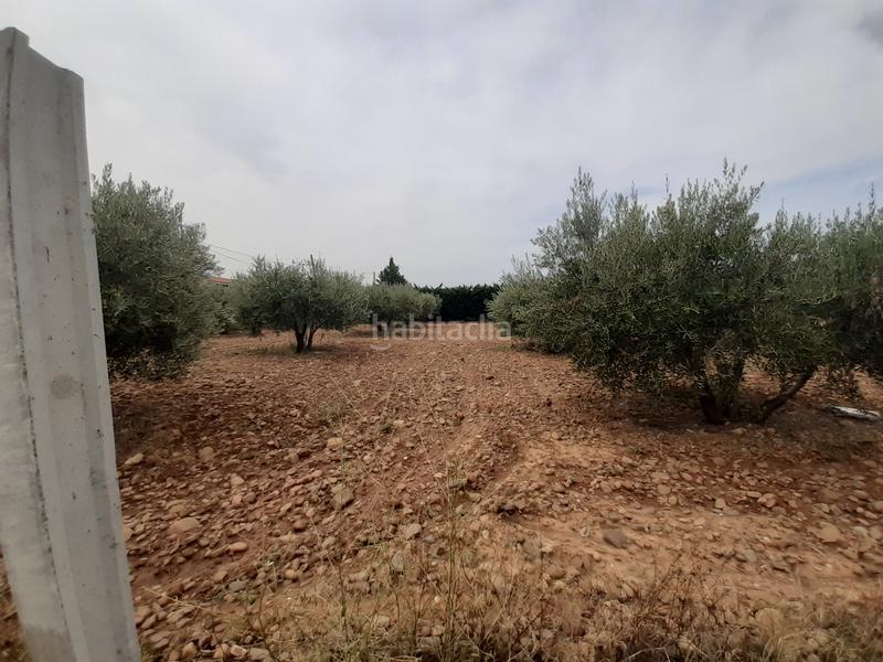 Foto 1af7e0ee-754b-4aa1-af1d-dddab7482517. Finca rústica en Arnedo