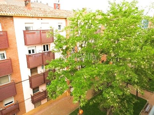 Foto 159f448a-898f-42dc-ae46-b8c4238a0a8a. Pis a La Estrella Logroño