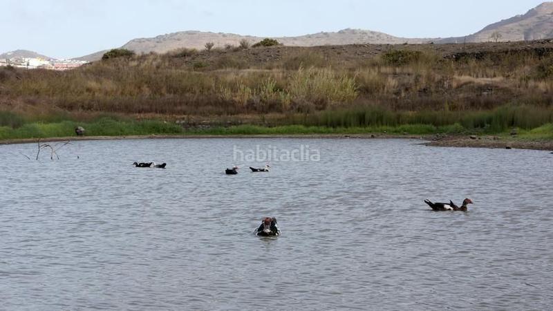 Foto ffac9a4b-0e52-4143-89e6-fd7ccb5cc0fa. Terrain résidentiel dans San Lorenzo Palmas de Gran Canaria (Las)