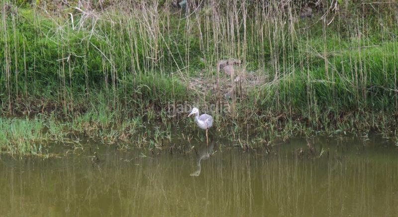 Foto dbf5037f-f831-4d4a-ad54-932e43706453. Wohngrundstück in San Lorenzo Palmas de Gran Canaria (Las)