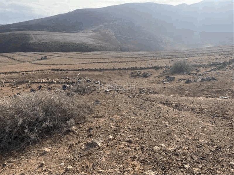 Foto 635e7e06-f3a3-492d-8b37-e452da96410a. Finca rústica a n/a a Los Quintana - Piso Firme Gáldar