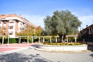 Appartamento in Calle Ribera del Carrión