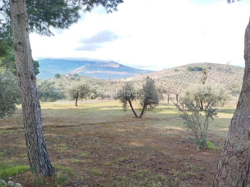 Foto 29a2fef3-1ee3-4a62-99bd-1a9f3476211c. Chalet en San Bartolomé - Millán de Priego Jaén