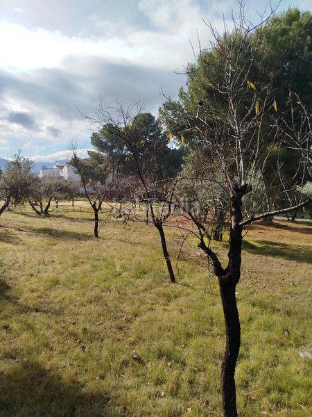 Foto 9634d04f-b4b0-4dd6-9f76-b204fe2c13f6. Chalet en San Bartolomé - Millán de Priego Jaén
