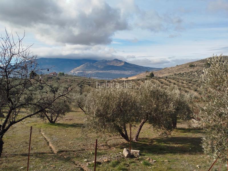 Foto a147bcc8-4dc7-443d-87f3-0d180978b50e. Chalet en San Bartolomé - Millán de Priego Jaén