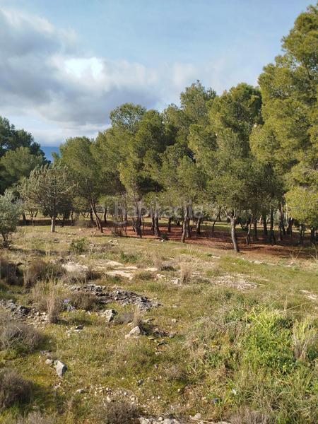 Foto b436d006-0ac4-4aa2-b462-228e259ba5d1. Chalet en San Bartolomé - Millán de Priego Jaén