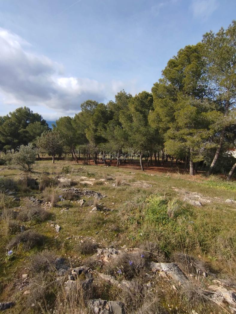Calle Martnez Molina Chalet Jan