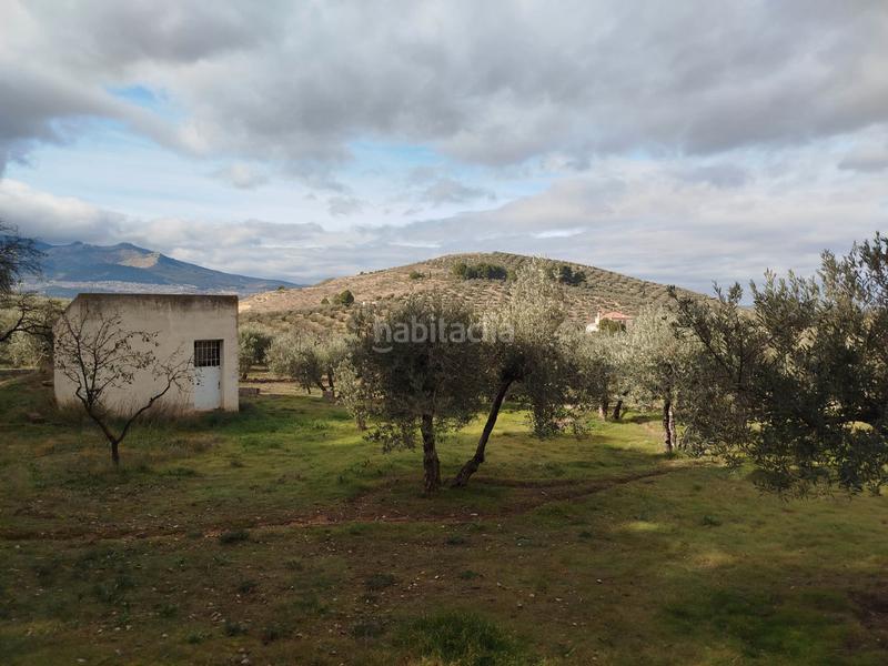 Foto 99077b8a-c867-401c-ae2b-6e5caa1cd18a. Xalet amb xemeneia piscina a San Bartolomé - Millán de Priego Jaén