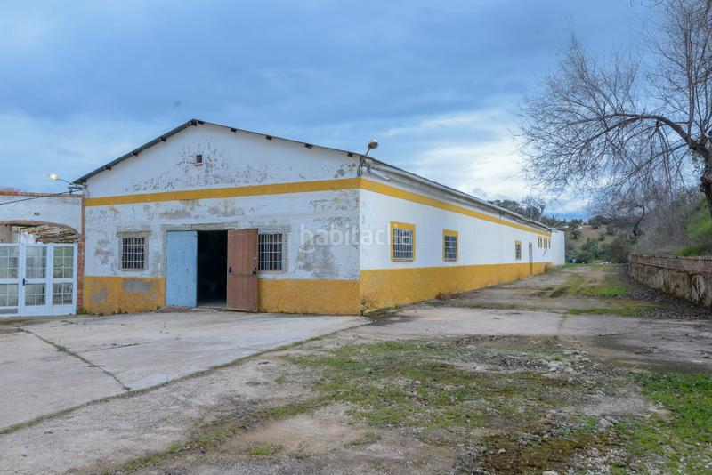 Foto 15f9b5d7-88f7-45e1-b94d-30931620983b. Finca rústica en Carcabuey