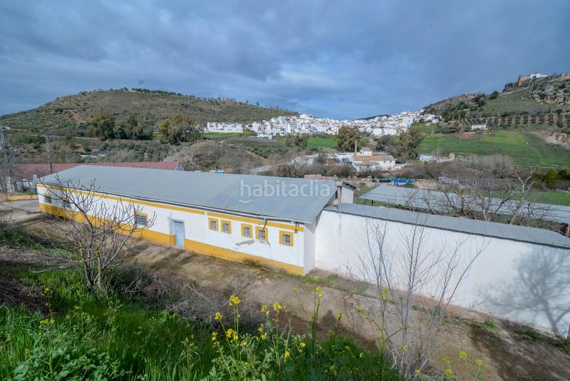 Foto 6416198e-5069-4d26-bc12-e4e821471b3c. Finca rústica en Carcabuey