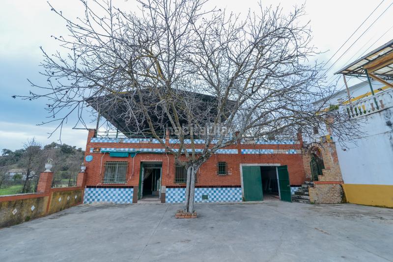 Foto 7e3ad8cb-d0ec-4c5d-b4d7-63e95b6b7038. Finca rústica en Carcabuey