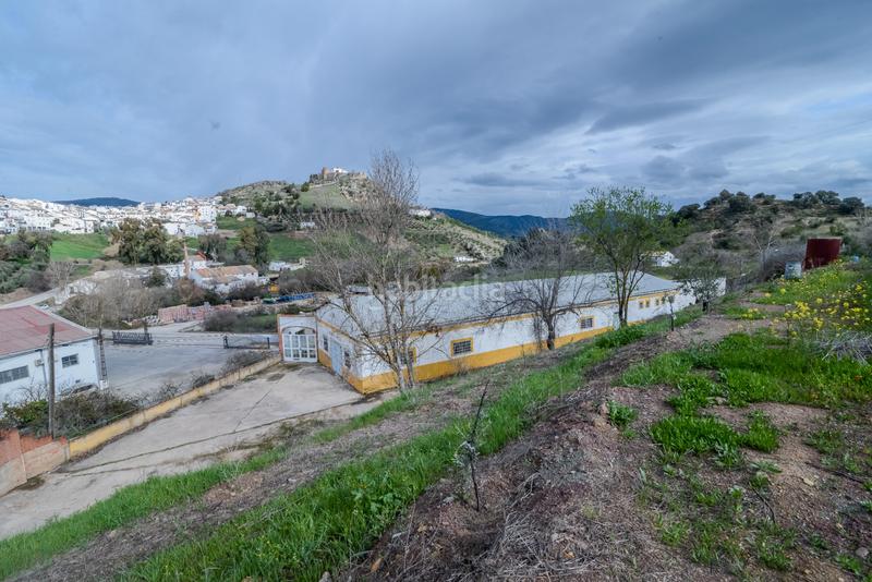 Foto 8f8fd946-b97a-42b0-aa9c-0a6b9cbcea8b. Finca rústica en Carcabuey