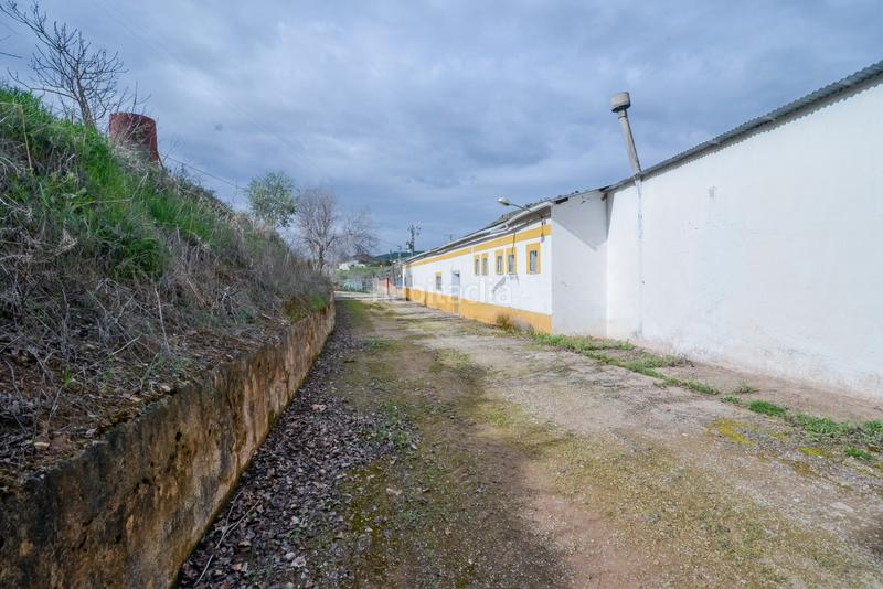 Foto 968a5c1f-dc55-4ac9-a61e-af0f8a8ba1ac. Finca rústica en Carcabuey