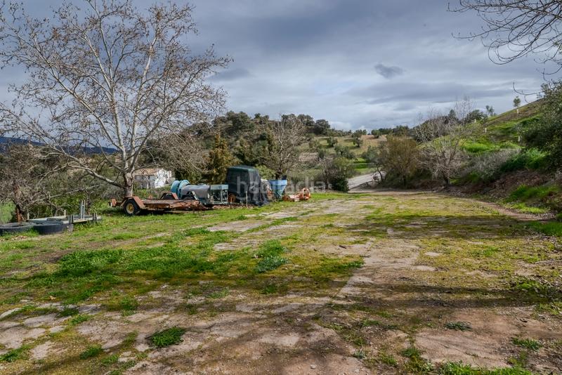 Foto f89d5e59-bd0c-4857-841a-bebfe2ef8b8d. Finca rústica en Carcabuey