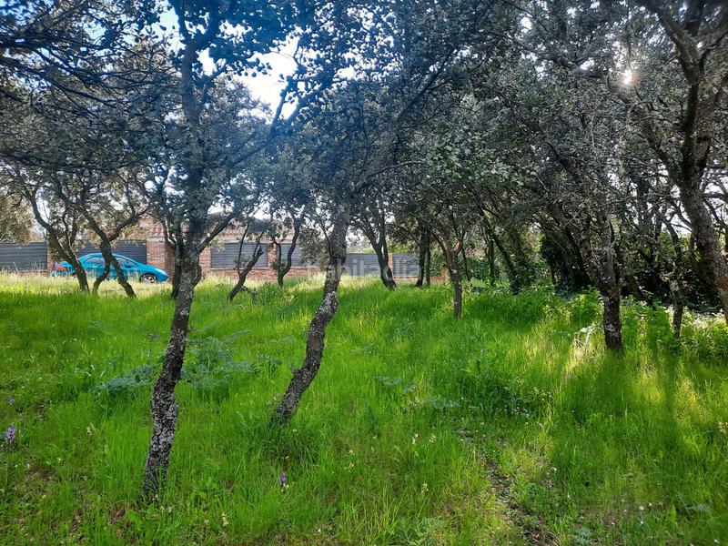 Foto 060141f6-f5f9-4987-bcd4-b461027fc965. Terreny residencial a Casar (El)