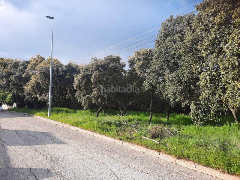 Foto 2eafe7a6-94f8-4910-bd65-f28d7f98bff0. Terreny residencial a Casar (El)