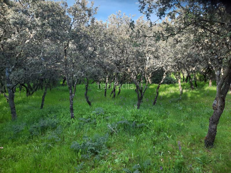 Foto 098a6e14-20ae-4710-a241-fe6fac3ae248. Terreno residenziale in Casar (El)