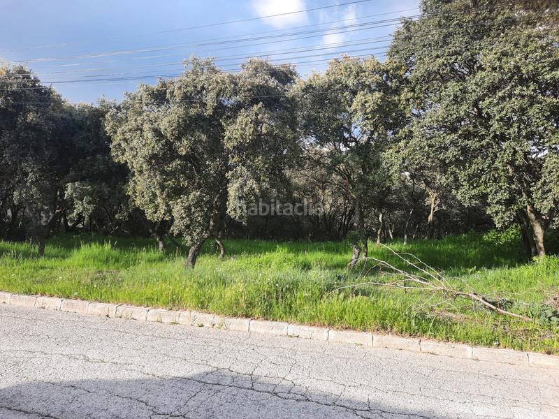 Foto 1f738065-5311-4483-babb-e417d8fd155f. Terreno residenziale in Casar (El)