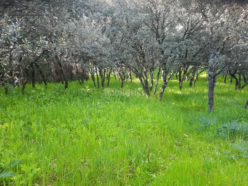 Foto 2903470b-925f-45c3-9c73-f4347cb65b94. Terreno residenziale in Casar (El)