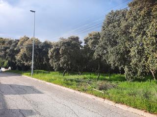 Terreno residenziale in Calle Azorín