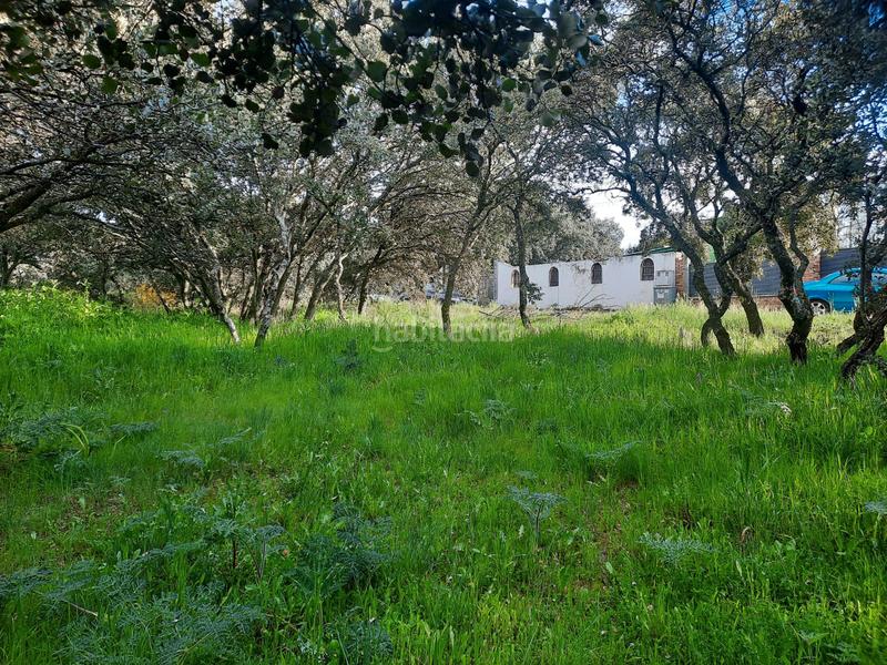 Foto c9227971-b60e-48fc-9995-afaa91ac6ad8. Terreno residenziale in Casar (El)