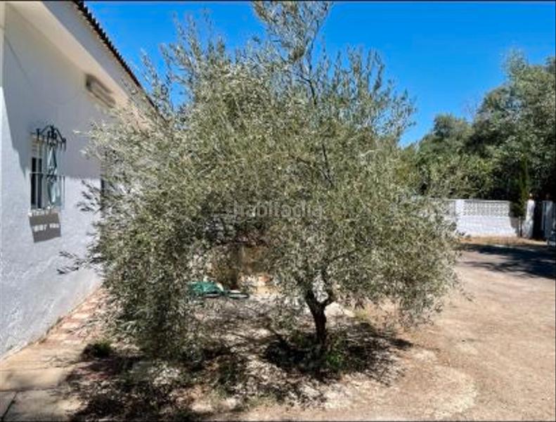Foto e81e41d7-8acb-4037-8fc1-77a35f3976e2. Chalet en Puente Jontoya - Puente de la Sierra - El Arroyo Jaén