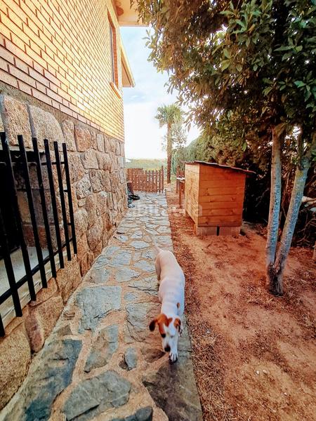 Foto c2364413-d987-4dc3-b632-59e313176a93. Chalet casa independiente en venta - un refugio de tranquilidad a solo 60 minutos de madrid en Matarrubia