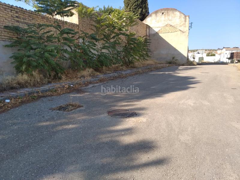 Foto 79972bf0-6626-4f0b-b065-3b20e1e30075. Terreno residenziale in Villanueva de Algaidas