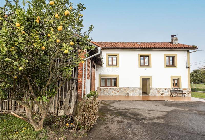 Foto ae6d60da-0316-4601-b63a-2332d7b3c5e6. Bauernhof in Cudillero