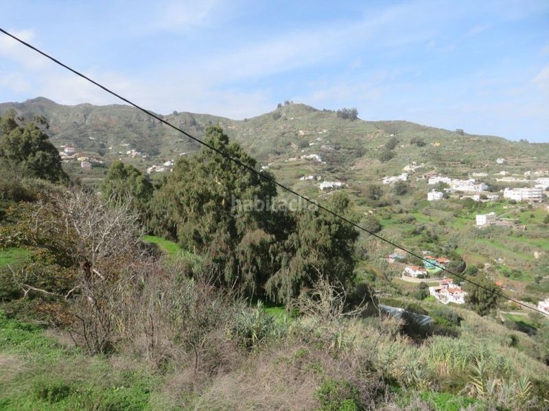 Foto b8f3d7ef-3734-4d85-ba26-f7e2ed0d1b07. Finca rústica en El Álamo - Arbejales Teror