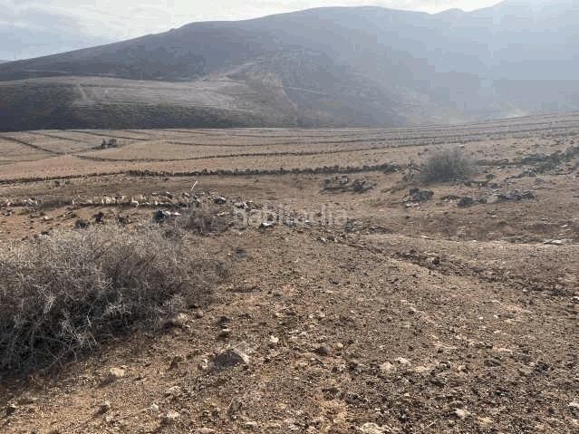 Foto ee2d91e4-8744-4300-bcdb-396c35b7c211. Finca rústica en Gáldar pueblo Gáldar