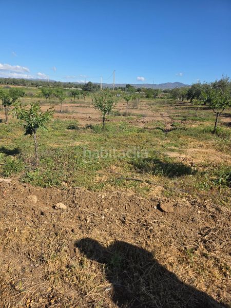 Foto 029446ae-662d-406a-8e06-abd155f913ea. Xalet amb aparcament a Huércal - Overa