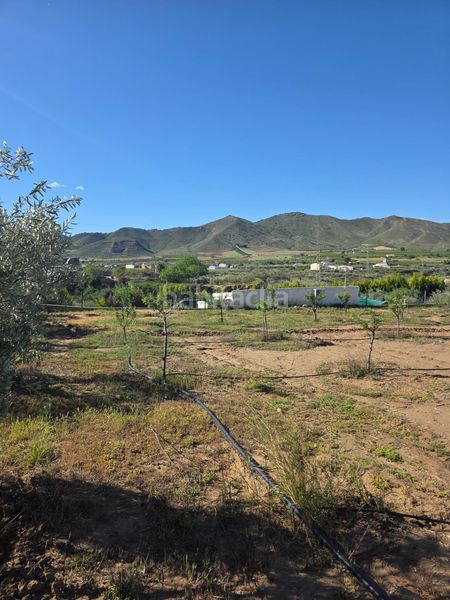 Foto 3c3a9c98-e838-47e7-9d90-70b0d9e7f795. Xalet amb aparcament a Huércal - Overa
