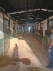 Maison à Villanueva de los Castillejos. Finca rústica en villanueva de los castillejos huelva