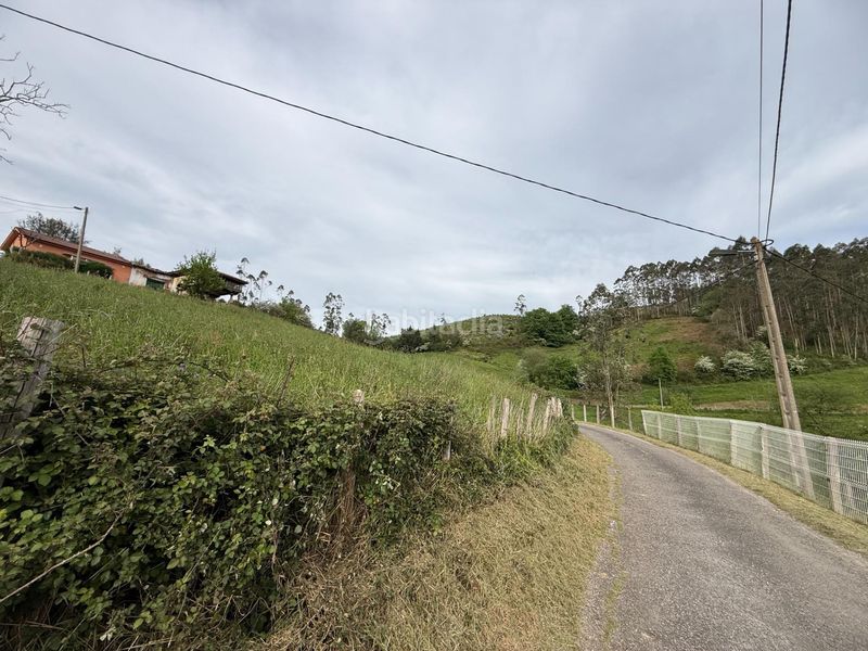 Foto 7ced5795-1499-4a47-ab55-01a9781857b3. Casa amb aparcament a Llanera