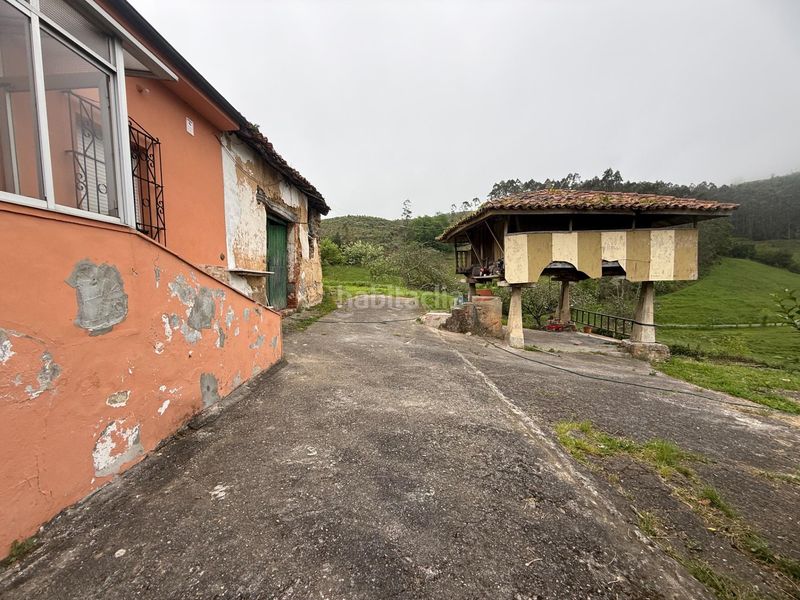 Foto aa24d5af-a1a3-4a49-ac0d-d0a2ebe6fe70. Casa amb aparcament a Llanera
