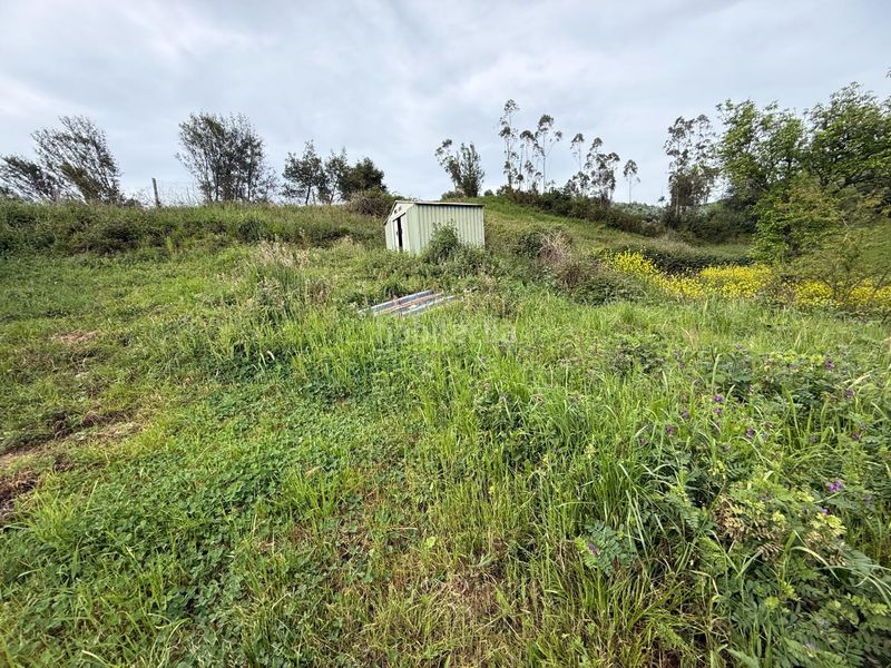 Foto afbd1c39-c9e1-43c8-be73-f665228b04d0. Casa amb aparcament a Llanera