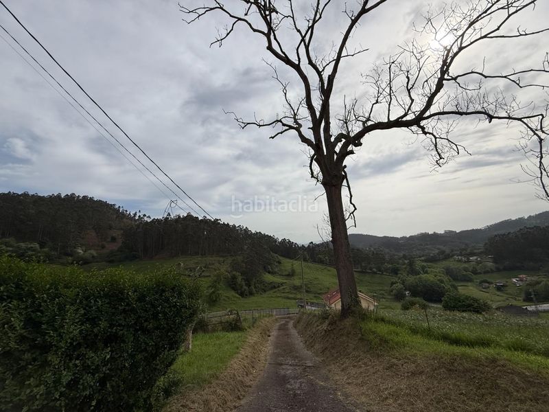 Foto be406290-73f1-4da4-8c6b-d4a4b5f24a01. Casa amb aparcament a Llanera