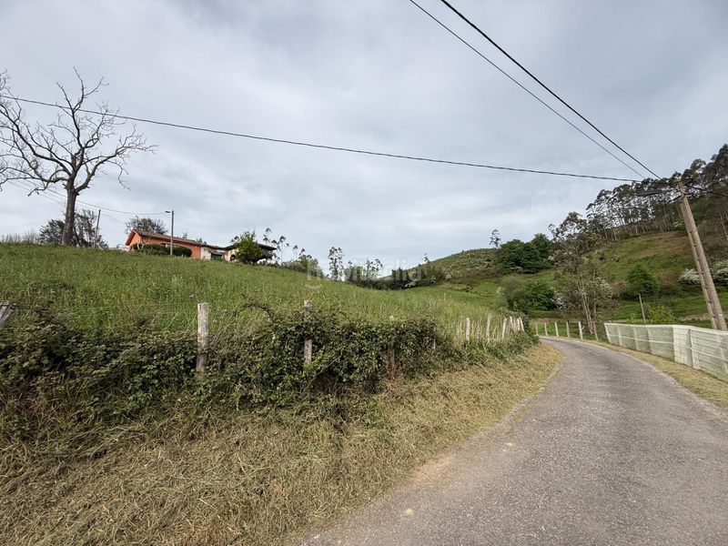 Foto d3ed8dc1-43fb-4a00-bdc3-71ce4a489317. Casa amb aparcament a Llanera
