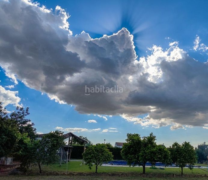 Foto a7e82294-5fc5-4a84-af7d-17ace4112b69. Casa amb piscina a Coronil (El)
